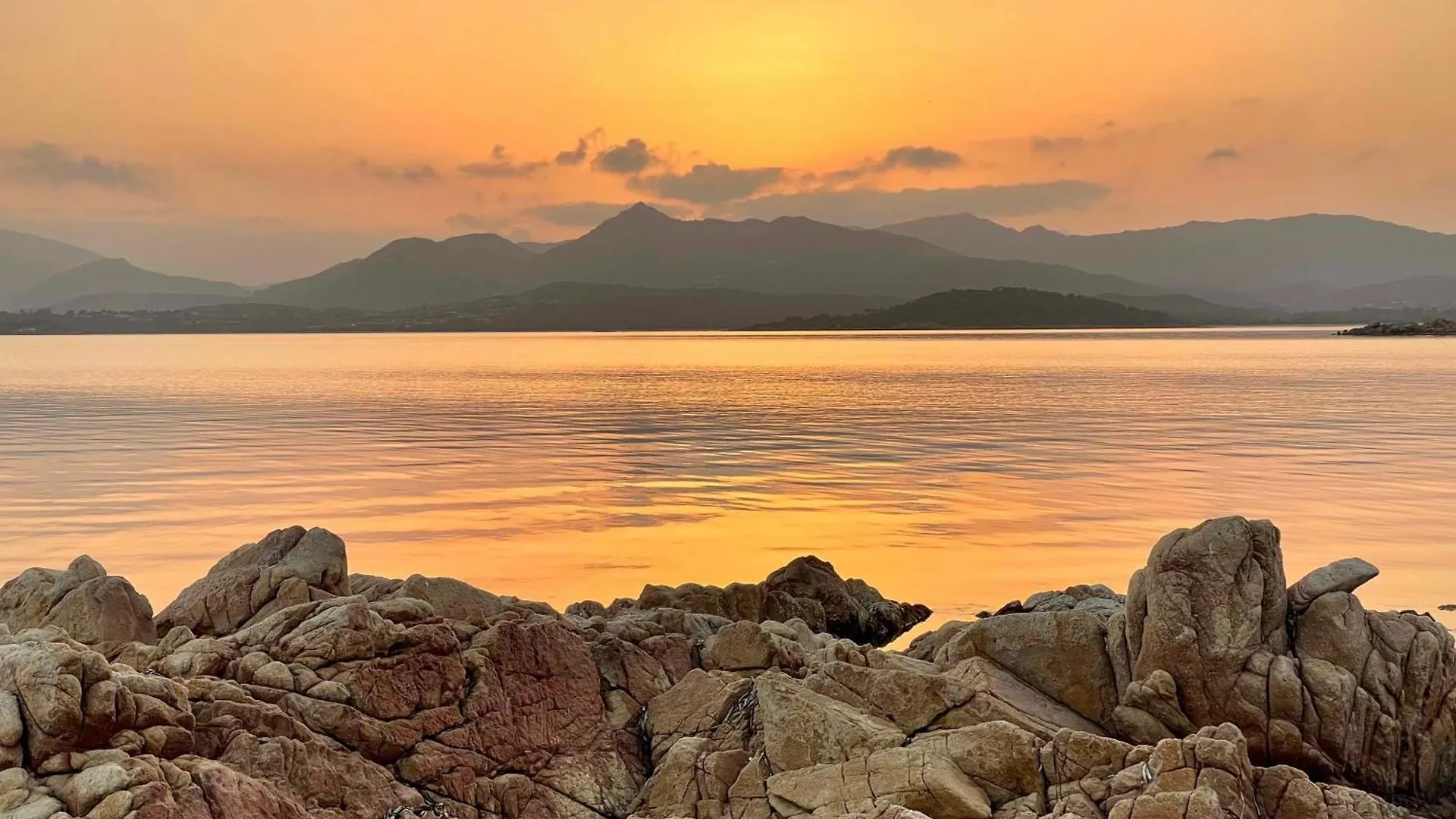 Punta Est Trilocale Stupenda Vista Mare Daire Capo Coda Cavallo