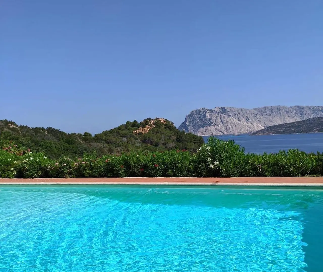 Apartamento Punta Est Trilocale Stupenda Vista Mare Capo Coda Cavallo Italia